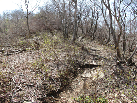 20140502hike (253)